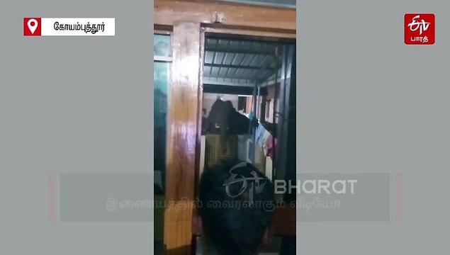 யானை தாக்கி விவசாயி உயிரிழப்பு! ரோட்டில் உலா வரும் காட்டு யானை! அலறும் மக்கள்..