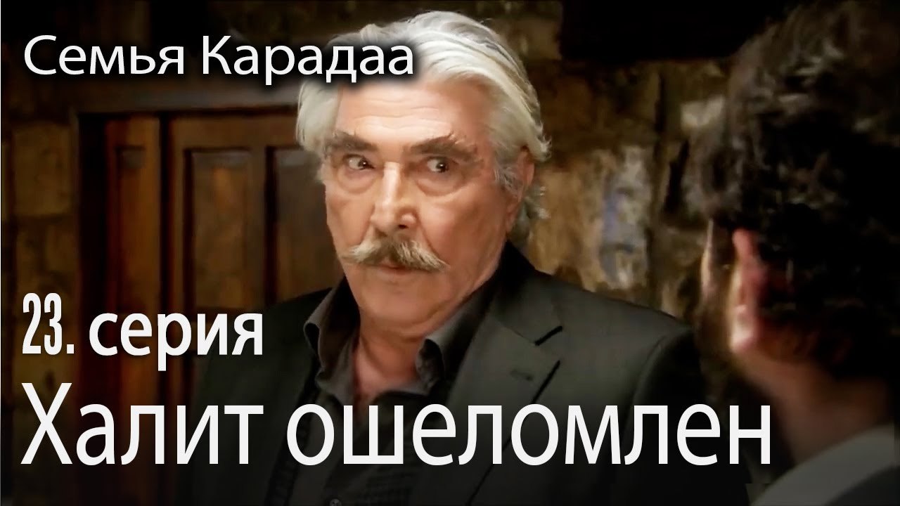 Халит ошеломлен - Семья Карадаа 23 серия