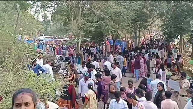 Ap_sklm_31_15_amadalavalasa_mugisina _sangamaya_jathara_av _3184128_ap 10140