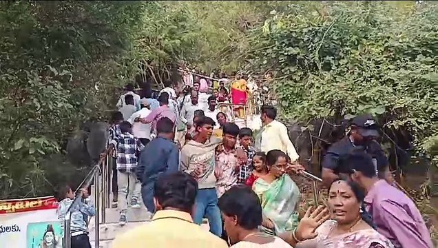 Ap_sklm_31_15_amadalavalasa_mugisina _sangamaya_jathara_av _3184128_ap 10140