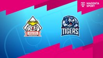 Highlights von Fischtown Pinguins - Straubing Tigers