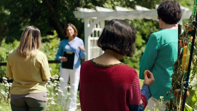 INVASIVE SPECIES | AWARD WINNING SHORT FILM