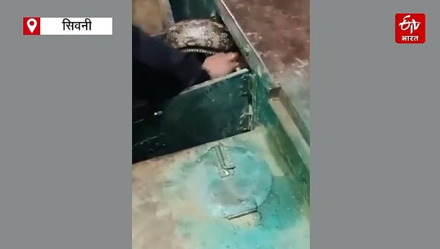 बोरवेल मशीन में छिपकर बैठा था अजगर, देखते ही लोगों की रुक गई सांसे...