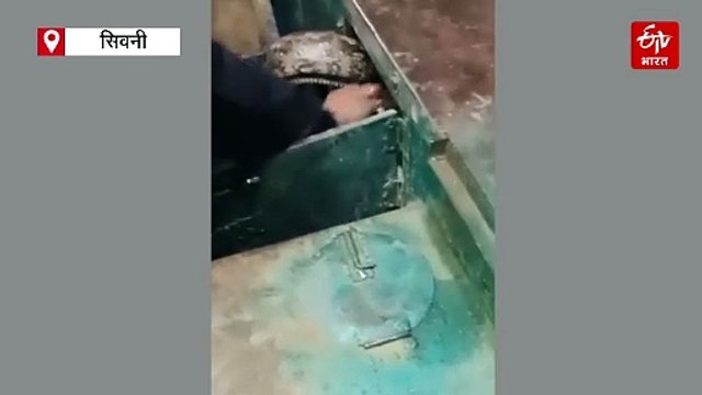 बोरवेल मशीन में छिपकर बैठा था अजगर, देखते ही लोगों की रुक गई सांसे...