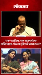 परळीबाबत पंकजा मुंडे आणि अजित पवारांमध्ये काय ठरलं