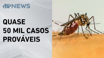Brasil registra quatro mortes por dengue em 2025