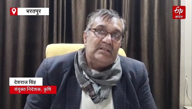 भरतपुर में 12 घंटे से रिमझिम, मावठ से किसानों की जगी उम्मीद, रबी फसलों को मिला जीवनदान