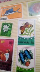 video_20250116_153341