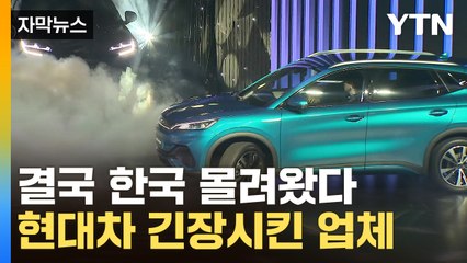 [자막뉴스] 아반떼 살 돈으로 전기차를...'가성비'로 지각변동 예고 / YTN