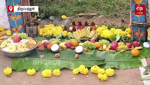 காணும் பொங்கல்.. ஏலகிரியில் பொங்கல் கொண்டாடிய மலைவாழ் மக்கள்!