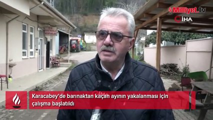 Köylerdeki camilerden anonslar yapılıyor! İlçede firari ayı alarmı