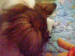 26 avril la toilette