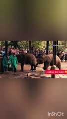 FOLLOW FOR MORE INSPIRING STORIES ✨