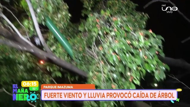 Continúan cayendo los árboles en Cochabamba debido a las intensas lluvias