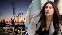 Priyanka Chopra Jonas Urge People To Donate And Support LA Wildfires Relief Efforts