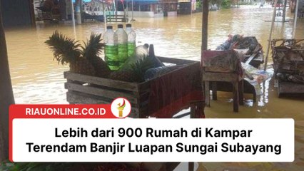 Lebih dari 900 Rumah di Kampar Terendam Banjir Luapan Sungai Subayang