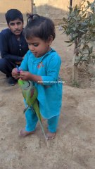 Cute Baby & Parrots