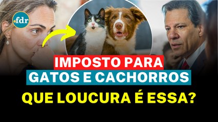 IMPOSTO PARA QUEM TEM GATO E CACHORRO? VEJA O QUE O GOVERNO DISSE SOBRE A NOVA POLÊMICA!