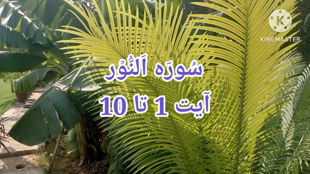 Surah an nur | Tilawat e quran pak | quran pak ki tilawat | learn quran |