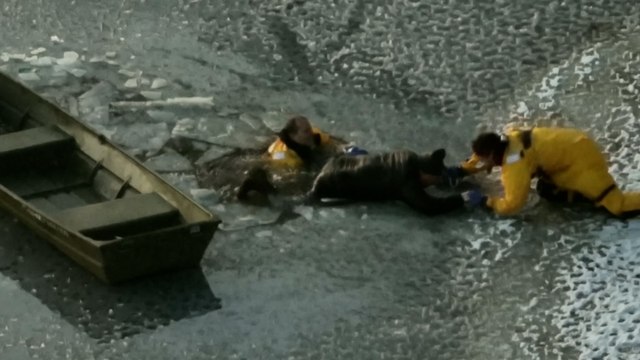Le sauvetage d'un homme et son chien tombés dans un lac gelé