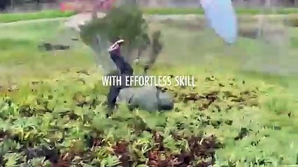 Publicité pour la célèbre marque Quiksilver