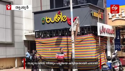 പാഴ്‌സൽ വാങ്ങിയ സമൂസക്കുള്ളിൽ പല്ലി: കട പൂട്ടിച്ച് ആരോഗ്യ വിഭാഗം