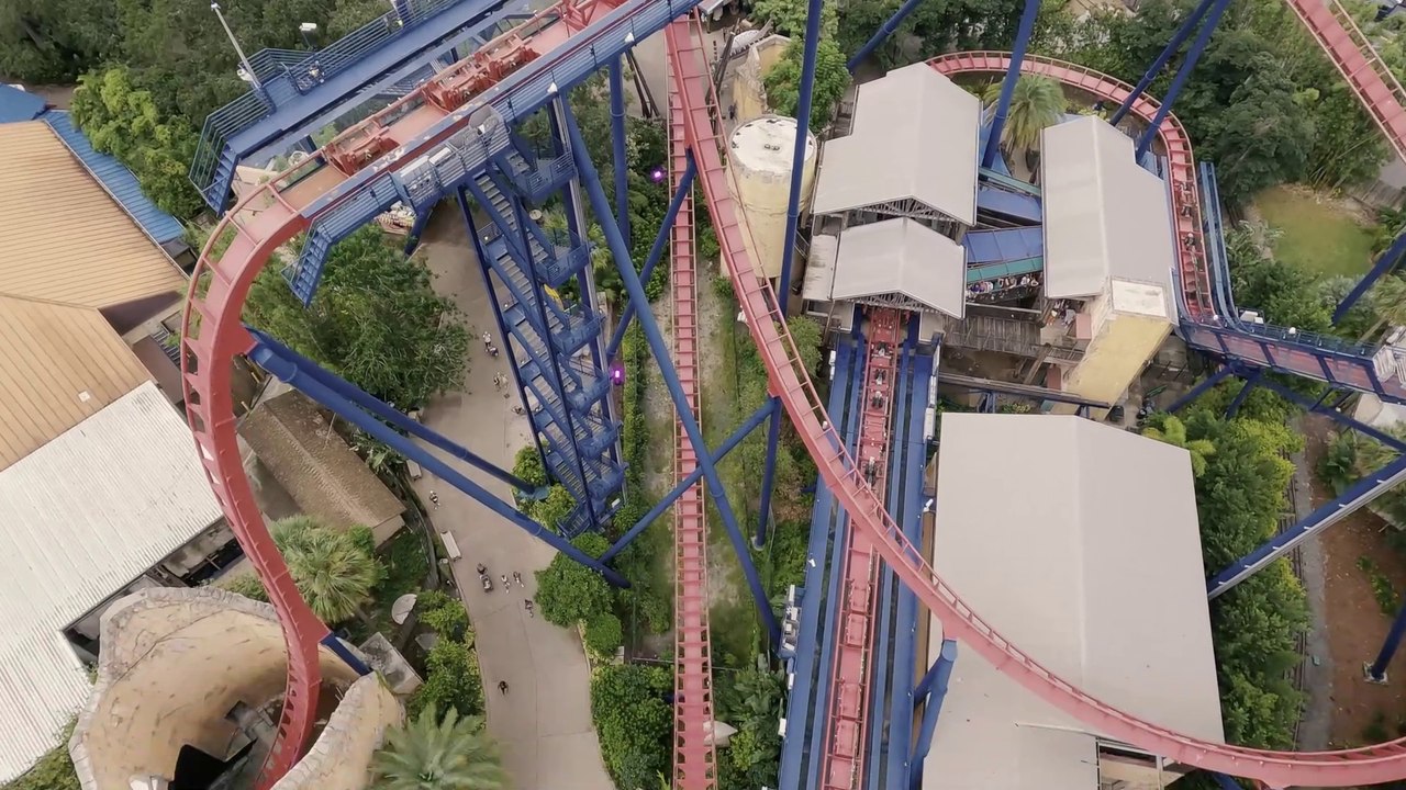 Sheikra Front Row POV (Busch Gardens - Tampa, FL) - 4K Roller Coaster ...