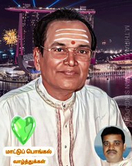 மாட்டுப் பொங்கல் வாழ்த்துக்கள் 2025 TMS LEGEND M.THIRAVIDA SELVAN SINGAPORE TMS FANS