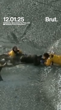 Un homme est tombé à l'eau en essayant de sauver son chien pris au piège d'un lac gelé