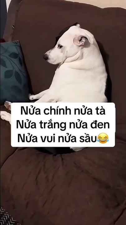 Ich weiß nichts über den bösen Kui ... es liegt daran, dass Kuis Mutter Kui so zur Welt gebracht hat ...