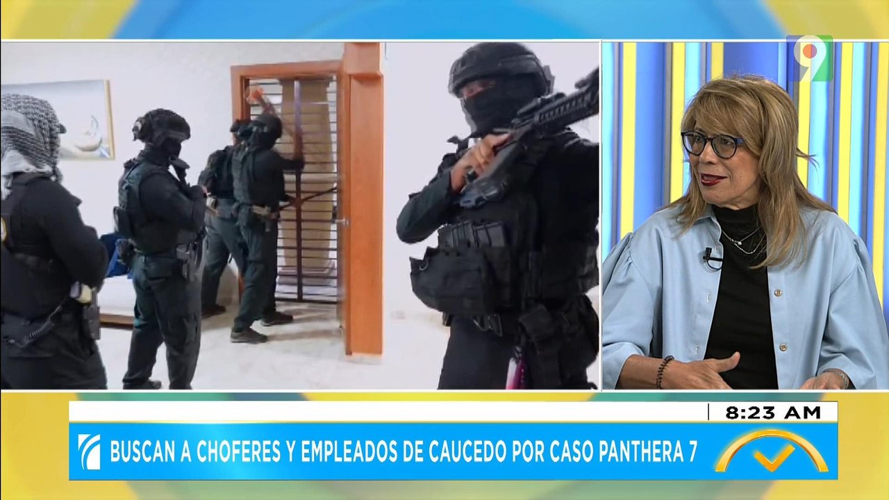 Buscan a choferes y empleados de Caucedo por caso Panthera 7 | El Despertador