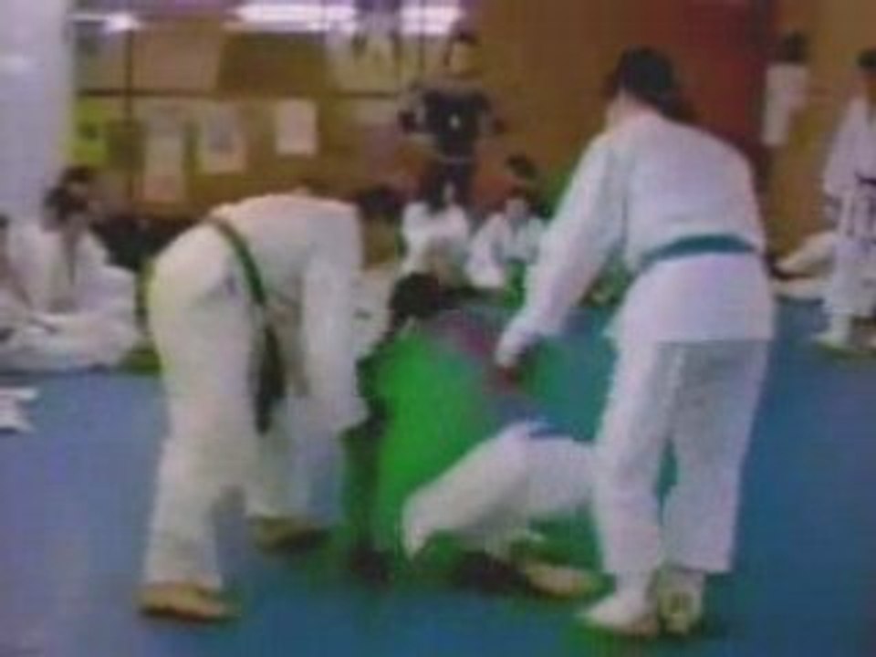 regis fait du karaté