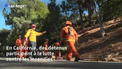 Des détenus luttent contre les incendies à Los Angeles