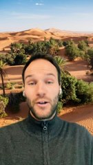 Le DESERT avec des ARBRES !