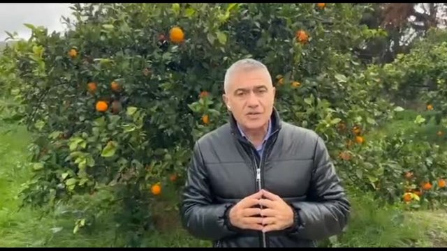 Pecoraro Scanio: formare giovani Ecodigital, da Sicilia parte sfida