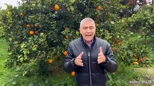 Pecoraro Scanio: formare giovani Ecodigital, da Sicilia parte sfida