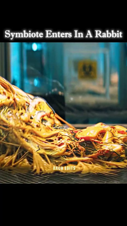 A_Symbiote_Entered_😱_In_Rabbit_🐇#shorts_#venom_#symbiote(1440p60)