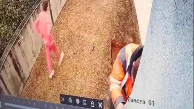 Comical CCTV footage of man falling into wheelbarrow while trying to install spotlight