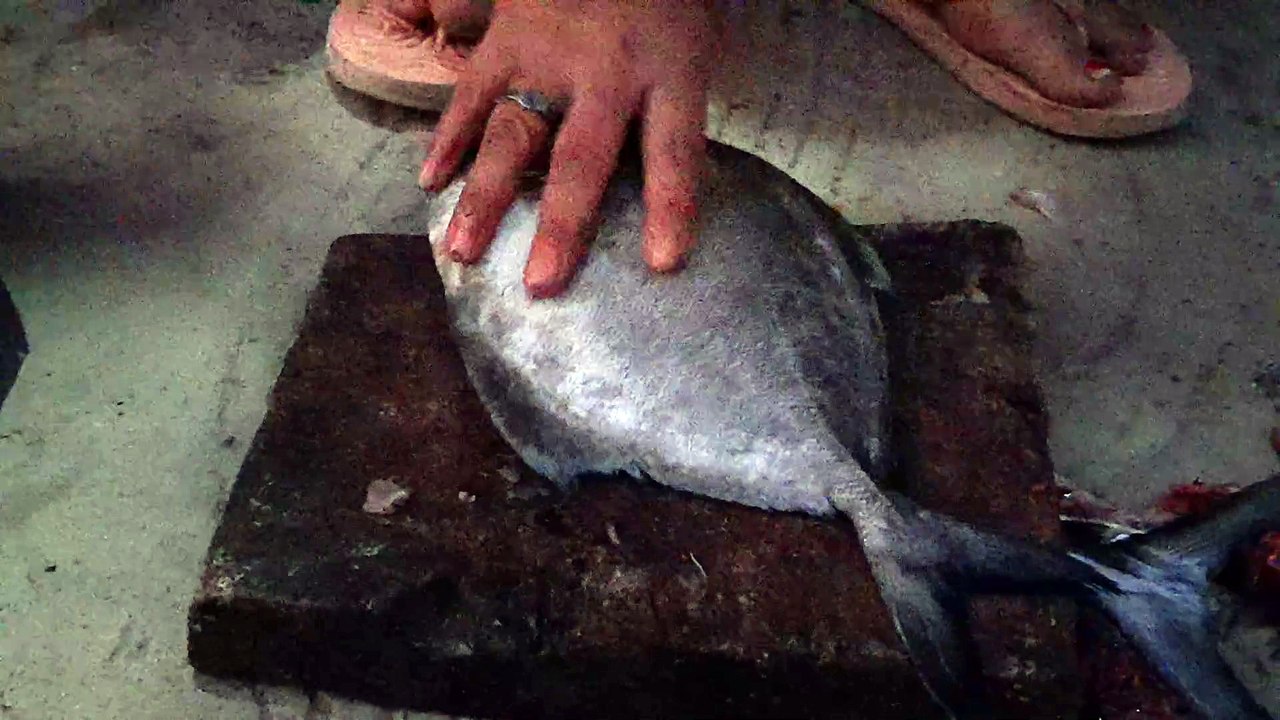 Black Pamphlet Fish Cutting at Home on Night Time