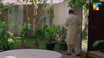 Mohabbat Reza Reza - Episode 84 - 16th January 2025 - [ Mirza Zain Baig  Minsa Malik ] - HUM TV