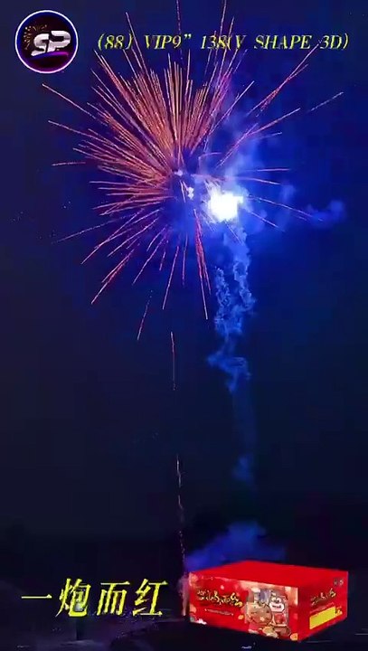 112. VIP 9”138v 一炮而红