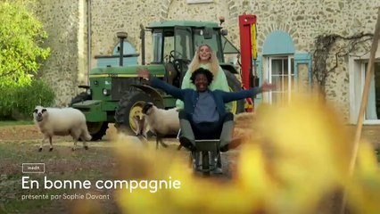 "En bonne compagnie", l'émission consacrée aux animaux présentée par Sophie Davant sur France 3
