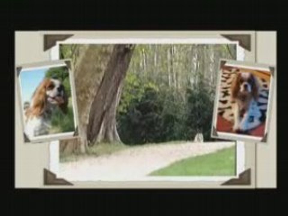 Benji, c'est lui !