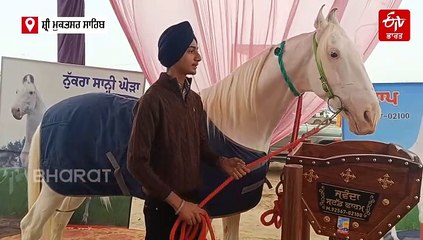 ਘੋੜ ਮੰਡੀ 'ਚ ਖਿੱਚ ਦਾ ਕੇਂਦਰ ਬਣਿਆ ਪ੍ਰਤਾਪ ਘੋੜਾ, ਪੰਜਾਬੀ ਗਾਣਿਆਂ 'ਚ ਵੀ ਦਿਖਾ ਚੁੱਕਿਆ ਜਲਵਾ