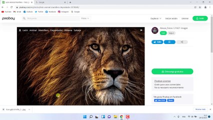 Como ver las Descargas de Google Chrome pc