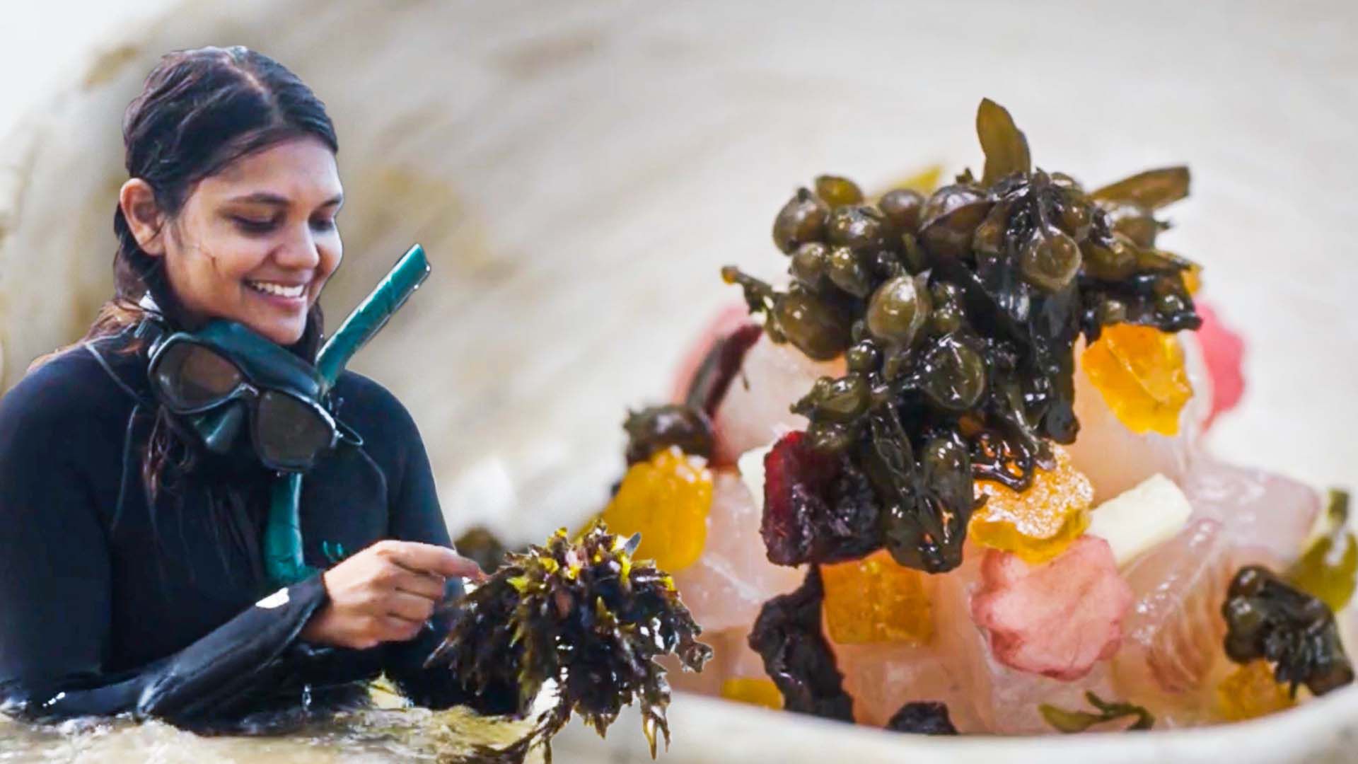 Indian Seaweed