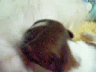 Bébé cherche une tétine et la trouve