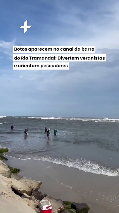 Botos aparecem no canal da barra do Rio Tramandaí: Divertem veranistas e orientam pescadores