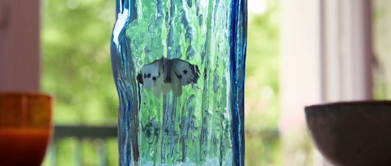 Belle & Sebastian - Ein Sommer voller Abenteuer