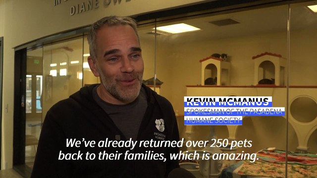 Pets and owners reunited after being separated in Los Angeles fires